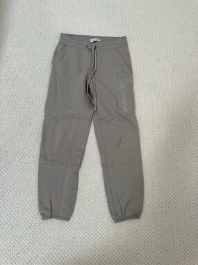 Abercrombie & Fitch Taupe Drawstring Joggers